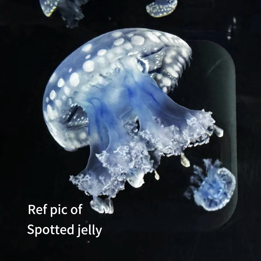Papuan Spotted Jelly Earrings