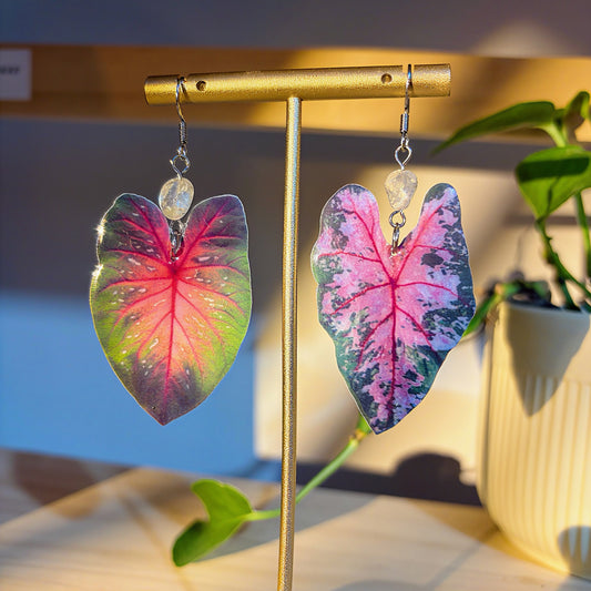 Caladium Asymmetric Double-sided Earrings